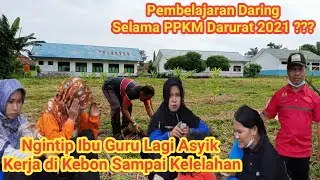 PEMANFAATAN SISA WAKTU DARING SELAMA PPKM DARURAT 2021, NGINTIP IBU2 LAGI ASYIK KERJA DI KEBON