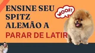 Como fazer o Spitz PARAR de LATIR | 3 Motivos e 3 Soluções