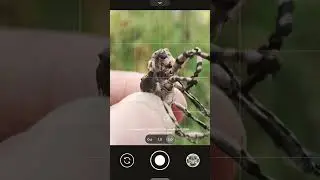 Nemu Objek Macro
