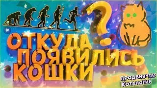 ОТКУДА и КАК появились домашние КОШКИ? | Продвинутая Коталогия | Интересное про историю кошек