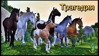 Симс 3 - Видео-приз 