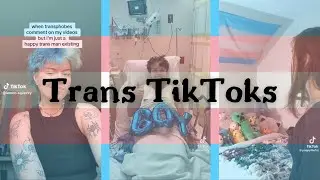 trans tiktoks