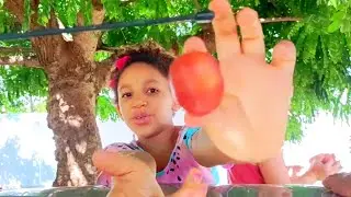 Dia legal colhendo frutinhas Parte 1