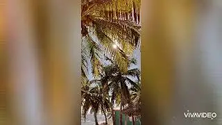 Laughing Bird Caye, Belize - NCL Pearl Dec 2019