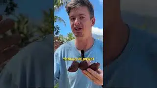 Супруга угощает экзотическим фруктом - звездное яблоко
