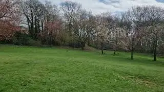 Tamiya txt-1 brushless testing (1)