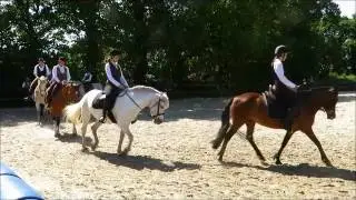 TdoT 2017 Hofquadrille