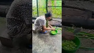 KEHIDUPAN NENEK USIA 100 TAHUN ASAL BANYUWANGI 