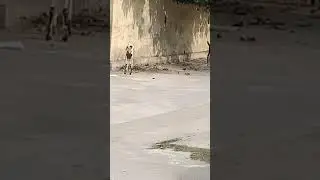 goat s outing #shortvideo #enjoyment #youtube #youtubeshorts #shorts #foodlover #foodie #animallover