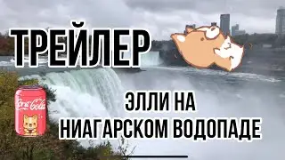 Трейлер фильма Элли на НИАГАРСКОМ ВОДОПАДЕ! 2021🎬 Корги Элли (говорящая собака )