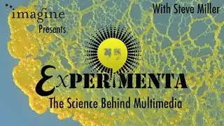 Experimenta: The Science Behind Multimedia
