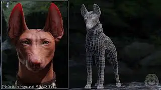 Pharaoh Hound Dog 10,000 Tris | Procedural Rock Cycles Render | Blender 3dmodeling 360