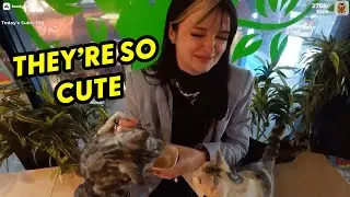 PeachJars and Cyr visit a Cat Cafe in Japan!