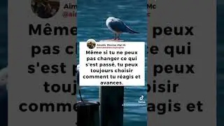 Tu peux choisir comment tu réagis #shortvideo #motivation #motivational #gratitudemindset