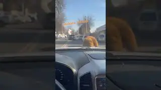 ❌Бизаники эмас ❌ хавотир омела хаммаси назаратимиз остида бизаники😁