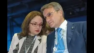 Про спорт, IT, сбербанк и передачу власти.