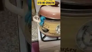 СВАРИЛСЯ ЗАЖИВО