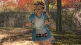 DOA5LR Replay BLAZEYOSHI (Marie Rose) vs Spizz395 (Akira)