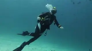 Оазис