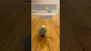hehehehehe 