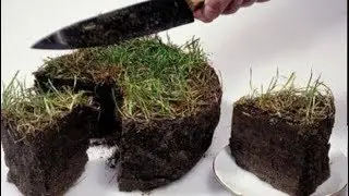 Заговор на продажу земли