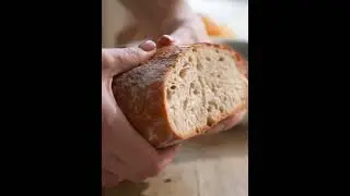 Они накормили медведя и вот что случилось потом...  😱