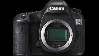 Canon 5DSR Review & Wildlife Photography