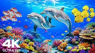 Amazing 4K Ocean Adventure 🐳 Dive Deep & Discover Sea Creatures in The Best 4K ULTRA HD Aquarium