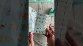 Custom Passport Cover