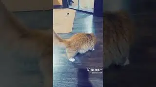 любимое занятия