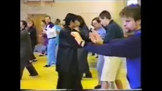 Chen Taijiquan. Master Liu Guanglai (刘广来). 1995.