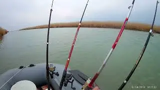 веселая 1