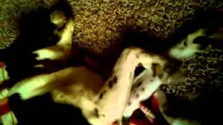 Johan twitching while sleeping