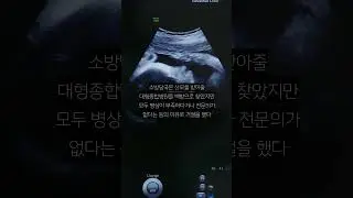 “병원, 의사 없어 뺑뺑이”...만삭 임신부 구급차 출산