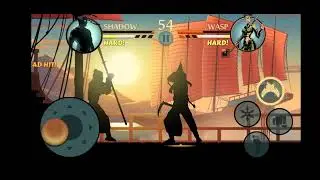 trying to fight wasp #1 (Shadow Fight 2)