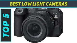 5 Best Low Light Cameras in 2024