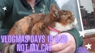 Vlogmas days 19 and 20: Not My Cat