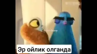 ER OYLIK OLGANDA