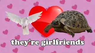 Two Turtle Doves