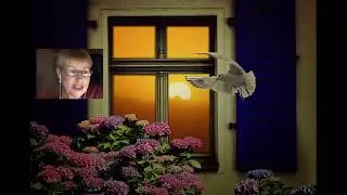 Как жить без конкуренции?