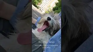 Барабака пошла по асфальту! Ура! Видео не короткое, зато прекрасно видно этапы)))
