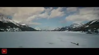 мультфильм Зов предков (2020)