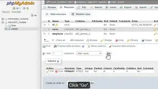 Inserting Fields Into Database Tables with phpMyAdmin