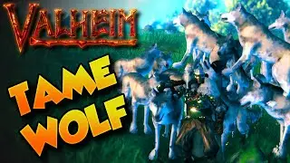 Valheim How To Tame Wolf 🐺 Valheim Tips and Tricks