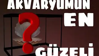 AKVARYUMUN EN SÜSLÜ BALIĞI
