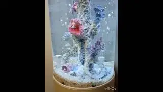 Cylindrical aquarium. Volume 90 l. Цилиндрический аквариум. объём 90л.  Лучшее для начинающих!