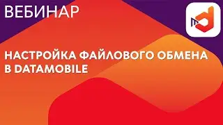 Настройка файлового обмена в DataMobile