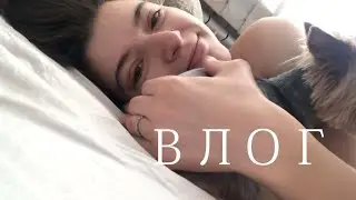 твин пикс в тампере 🌲⭐️  и поездка в петербург ☔️🍾🐾