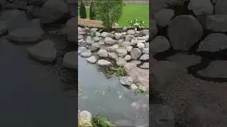 Flawless Backyard Pond 