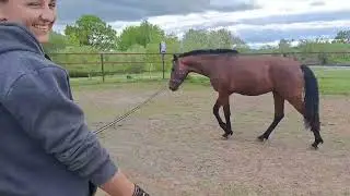 Азимут знакомиться с Харлеем.Тоху припахали работать.